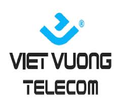 Logo Công Ty Cổ Phần Thương Mại Dịch Vụ Viễn Thông Việt Vương